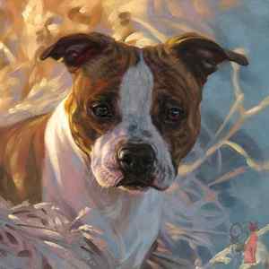 Amerikan staffordshire terrier portraits Gretchen