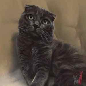 Cat portrait oil Maggie