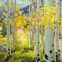 Afternoon Aspen Grove by Gary Kim