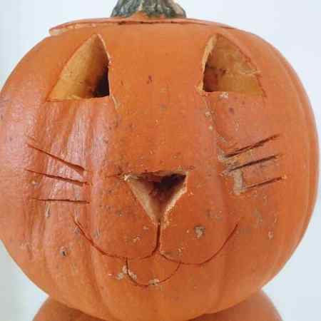 pumpkin cat carving