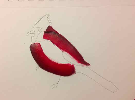 paint a cardinal belly,. How to Paint a Cardinal