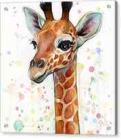 Baby Giraffe Watercolor by Olga Shvartsur