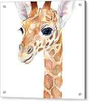 Giraffe Watercolor by Olga Shvartsur