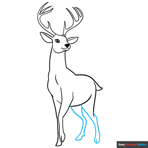 Deer step-by-step drawing tutorial: step 9