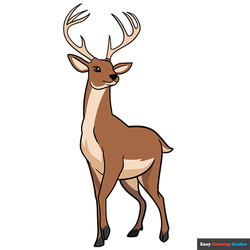 Complete Deer drawing