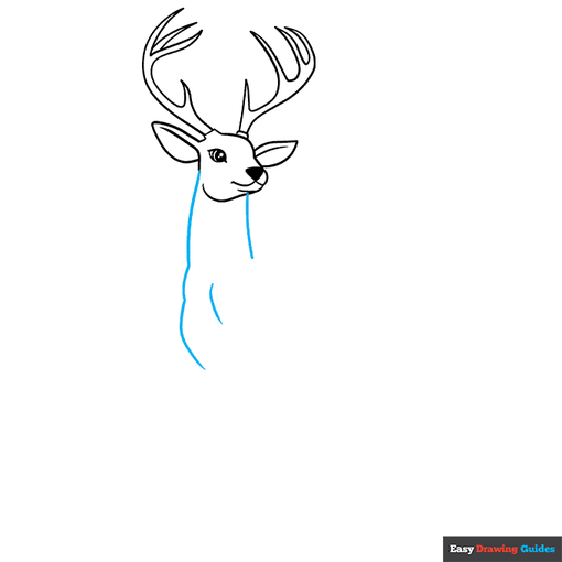 Deer step-by-step drawing tutorial: step 5