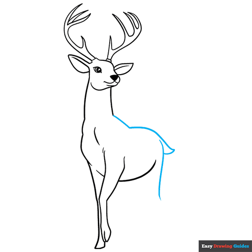 Deer step-by-step drawing tutorial: step 8