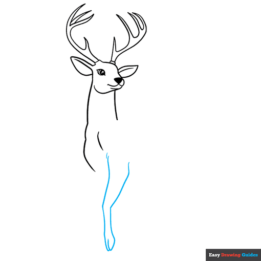Deer step-by-step drawing tutorial: step 6