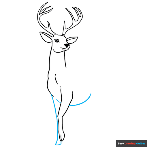 Deer step-by-step drawing tutorial: step 7