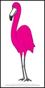 How to Draw a Cartoon Flamingo 