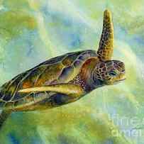 Sea Turtle 2 by Hailey E Herrera