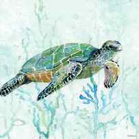 Sea Turtle Swim 1 by Carol Robinson