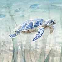 Undersea Turtle by Danhui Nai