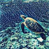 Sea Turtle Swimming Underwater Digital by Davdeka