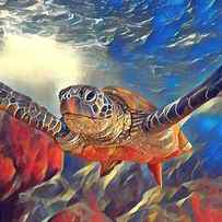 Sea Turtle Altered Images by David Stribbling