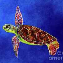Sea Turtle - solid background by Hailey E Herrera