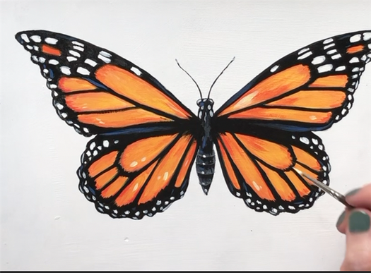 How to paint a butterfly step by step.