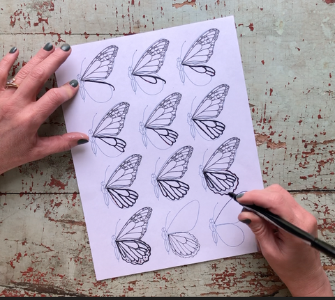How to draw a butterfly step by step worksheets.