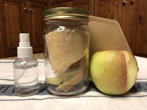 How to keep Fireflies alive, use a glass mason jar with a lid, add apple slices and wet coffee filter paper