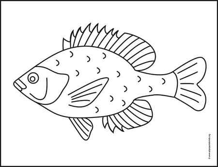 Fish Coloring page, available as a free download.