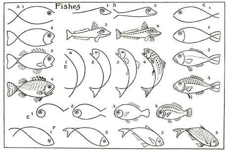 Fish Drawing Practice Sheet