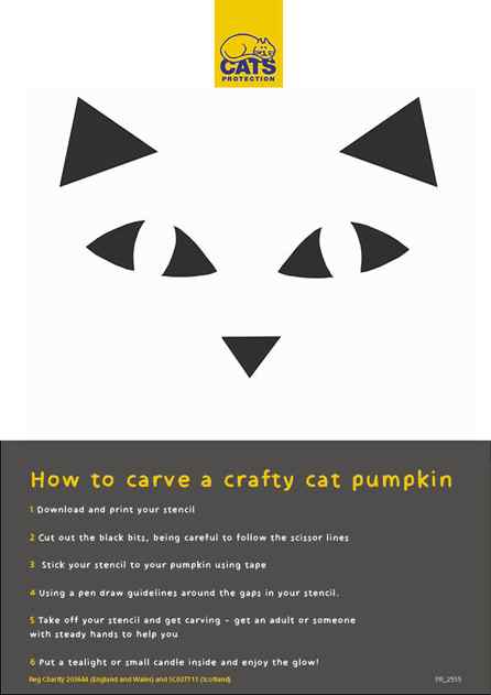 how to carve a crafty cat pumpkin graphic difficult