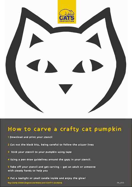 how to carve a crafty cat pumpkin graphic easy
