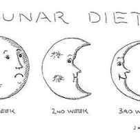 Lunar Diet by John O