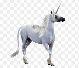 white unicorn, Winged unicorn Pegasus Unicorn horn, unicorn horn, horse, legendary Creature png thumbnail