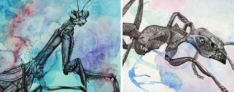 Art lesson: drawing insects
