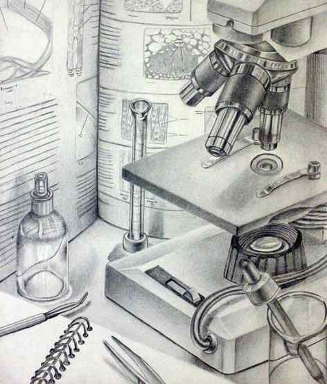 microscope still life drawing