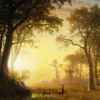 Light in the Forest by Albert Bierstadt