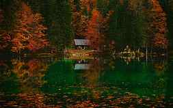 Tranquility, forest, nature, cabin, lake, HD wallpaper