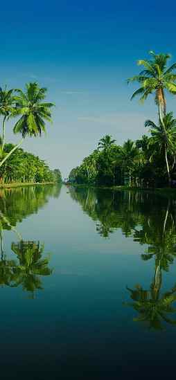 Kerala, river, india, nature, HD phone wallpaper