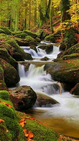 river, forest, green, landscape, nature, original, waterfall, HD phone wallpaper