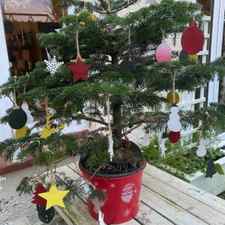Thorndown-Wood-Paint-Christmas-tree-decorations-and-Peelable-Glass-Paint-on-plastic-bucket_3