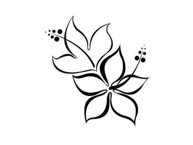 Free Vector line art and hand drawing flower art black and white flat design simple flower 22804336 Vector Art at Vecteezy