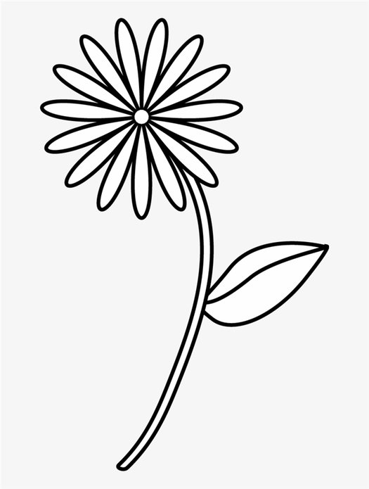 Flower Drawing Learn to Draw Exquisite Flowers