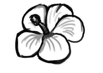 35 Easy Flower Drawing Ideas How to Draw a Flower
