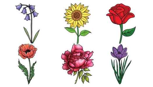 Easy flowers to draw stepbystep tutorials pictures