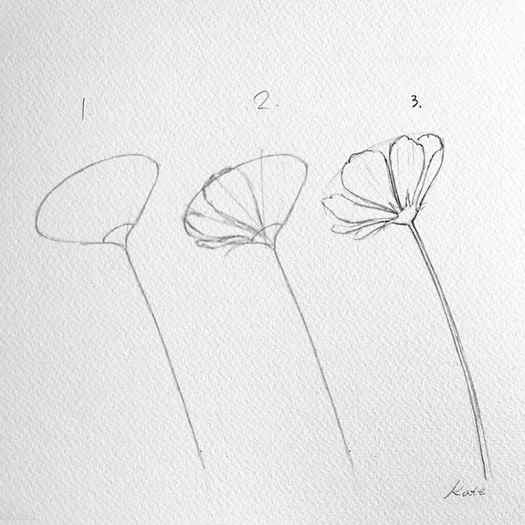 Easy Floral Drawings For Beginners To Draw Kids Art Craft