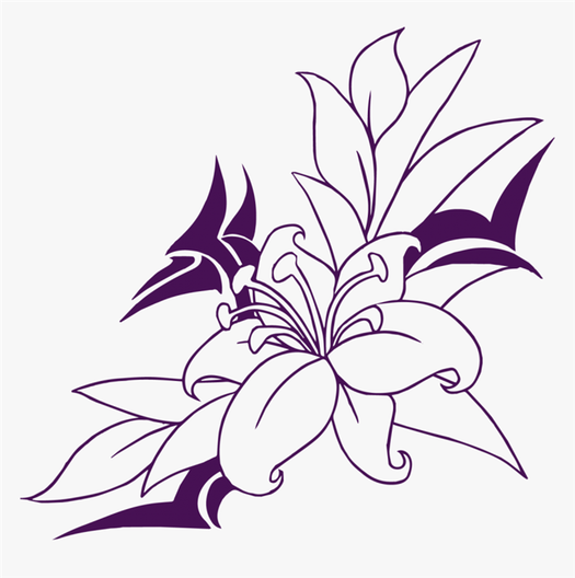 Easy lily flower drawing lily flower pencil art Vector Image