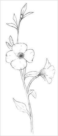 44 Flowers Drawing Ideas For Beginners Cool Drawing Idea