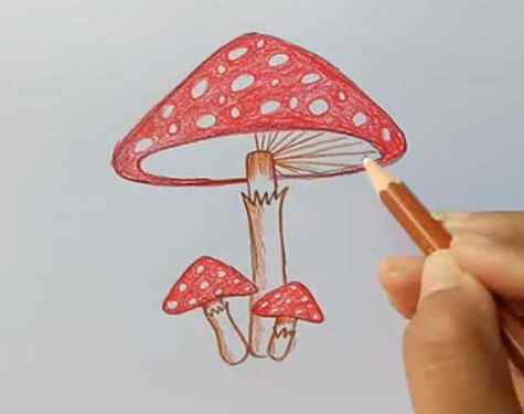 Mushroom drawing