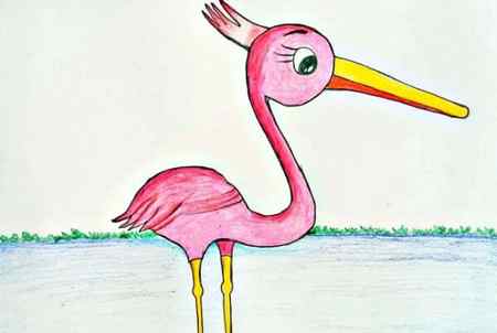 flamingo bird body drawing outline