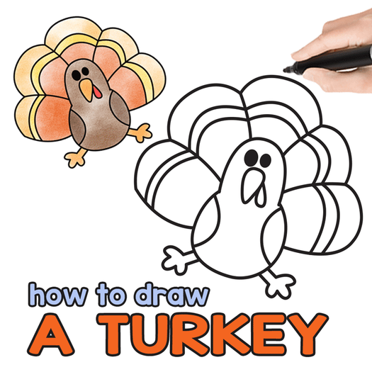 Turkey Drawing How To Draw A Turkey Step By Step