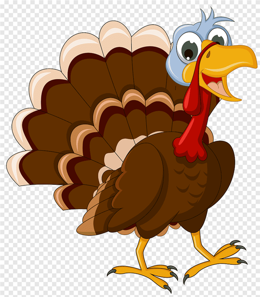 Turkey Drawing Images Browse 222336 Stock Photos Vectors and Video Adobe Stock