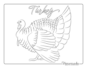 Turkey turkeycock hand drawn sketch vintage Vector Image