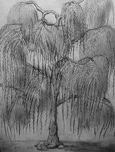 Wall Art - Drawing - The Weeping Of The Willow by Kyle Hale