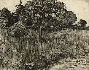 Weeping Willow Trees Drawings